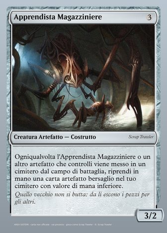 Apprendista Magazziniere