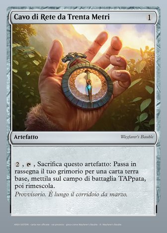 Cavo di Rete da Trenta Metri