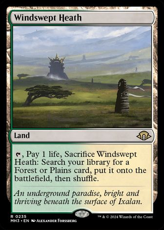 Windswept Heath